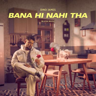 Bana Hi Nahi Tha's cover