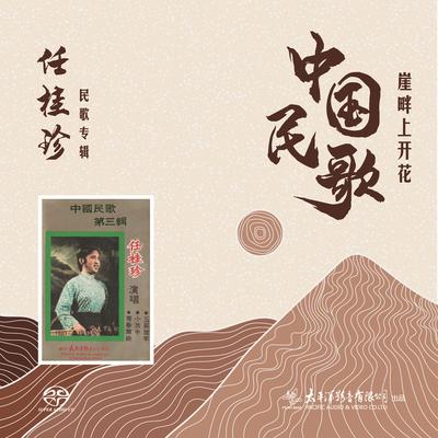 刮地风's cover