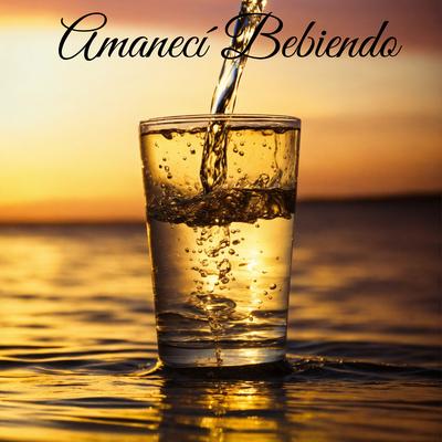 Amanecí Bebiendo's cover
