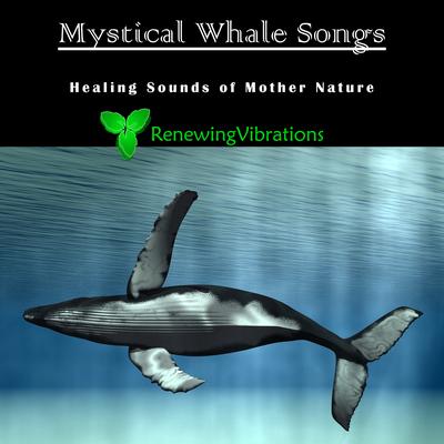 Mystical Whale Songs. Healing Sounds of Mother Nature. Great for Relaxation, Meditation, Sound Therapy and Sleep. By Renewing Vibrations's cover