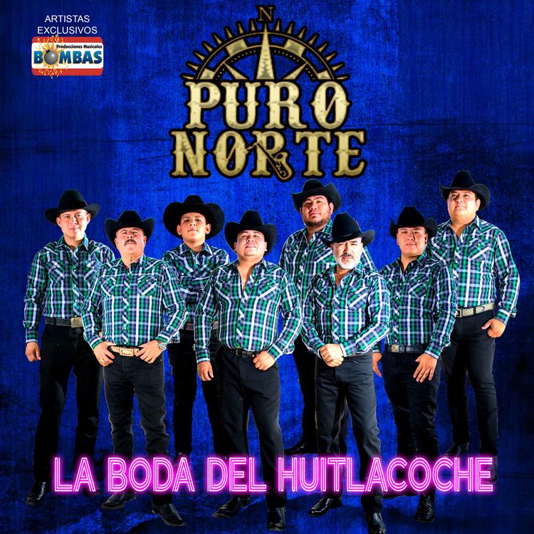 Puro Norte's avatar image