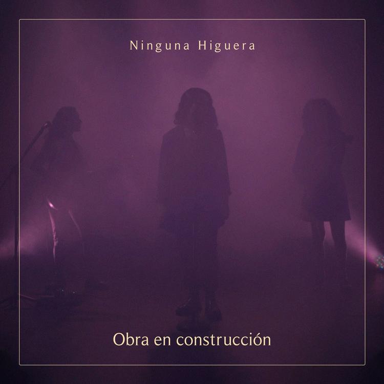 Ninguna Higuera's avatar image