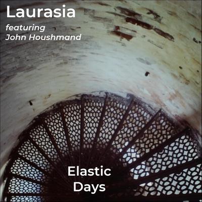 Elastic Days (Live) [feat. John Houshmand]'s cover