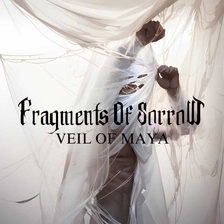 Fragments Of Sorrow's avatar image