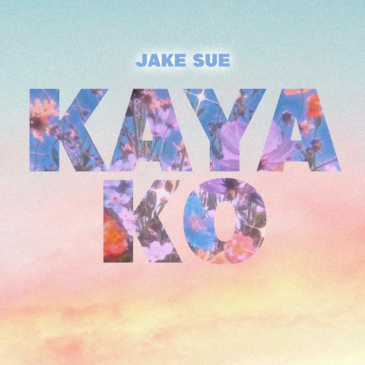 Jake sue's avatar image