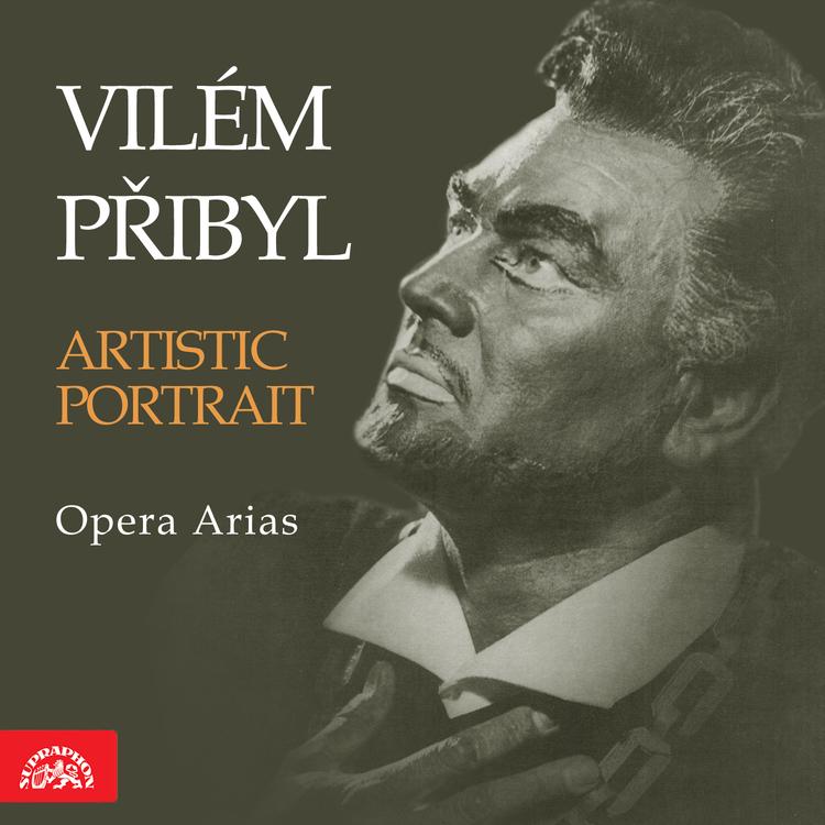 Vilém Přibyl's avatar image