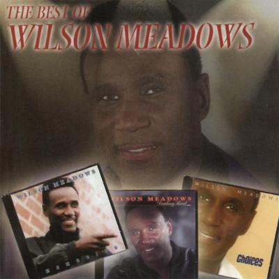 Still My Love By Wilson Meadows's cover