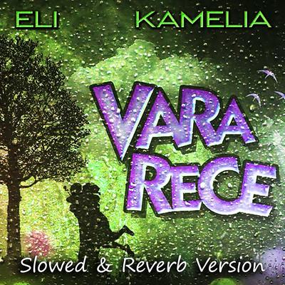 Vara Rece (Slowed & Reverb Version)'s cover