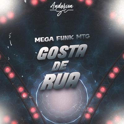 MEGA FUNK MTG GOSTA DE RUA By DJ ANDERSON SC's cover