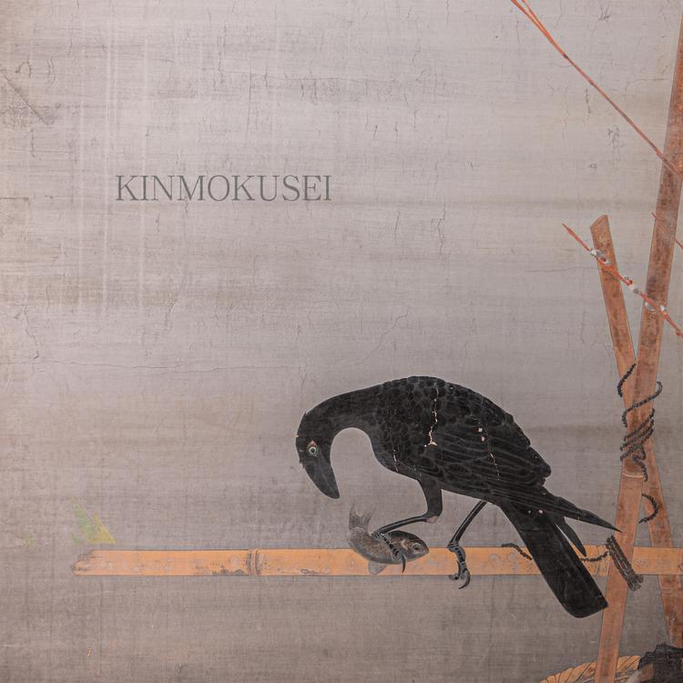 Kinmokusei's avatar image