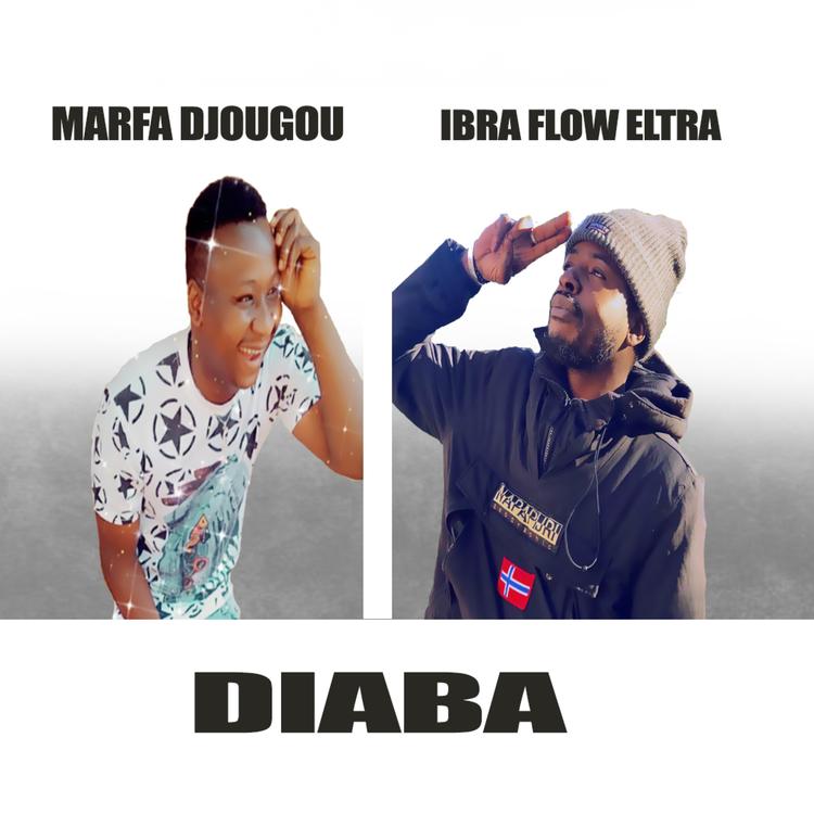 IBRA FLOW ELTRA's avatar image