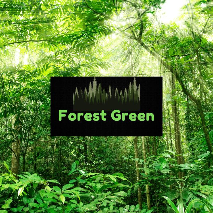 Forest Green's avatar image