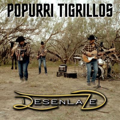 Popurrí Tigrillos (Despacito, Isabel Y Tápame)'s cover