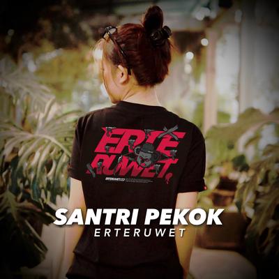 Santri Pekok's cover