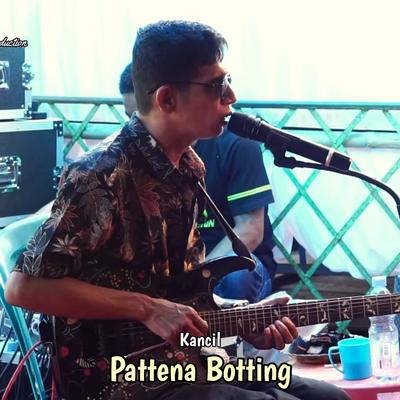 Pattena Botting's cover
