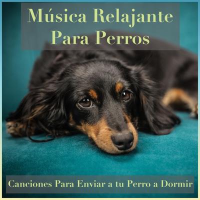 El Cachorro Mas Lindo By Relaxmydog, Dog Music Dreams, Relax My Puppy's cover