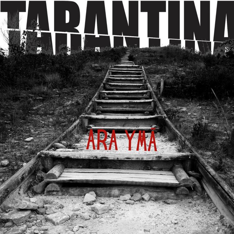 Tarantina Instrumental's avatar image