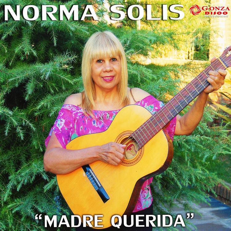 Norma Solís's avatar image