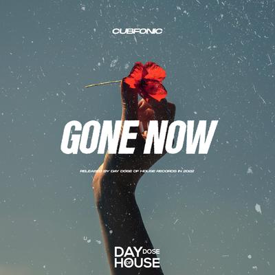 Gone Now By Cubfonic, Franko Keys, Bass Motions's cover