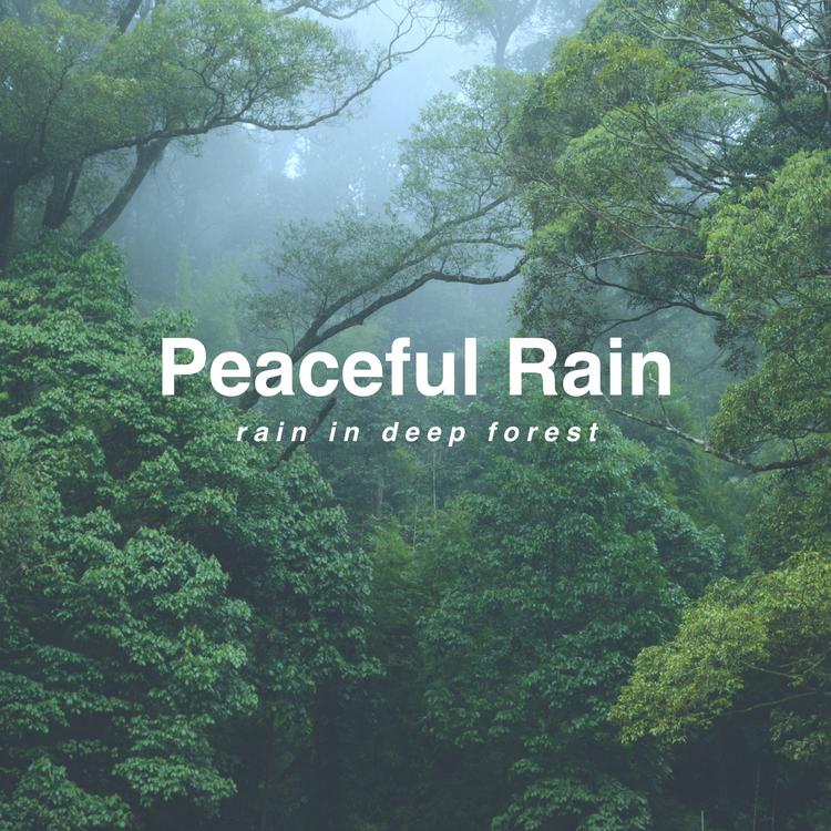 Peaceful Rain's avatar image