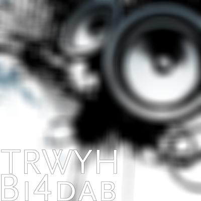 Bi4dab's cover