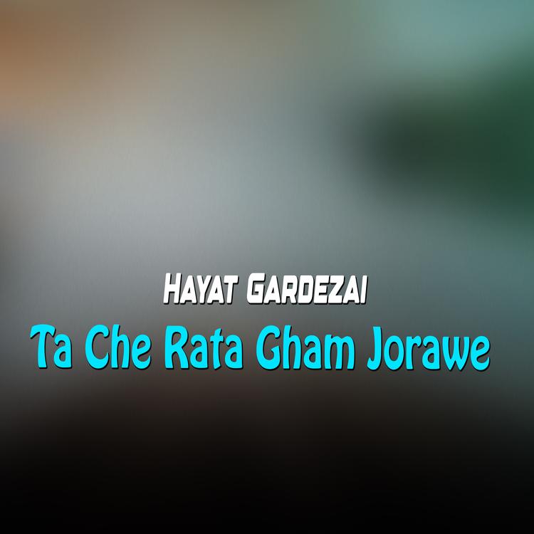 Hayat Gardezai's avatar image