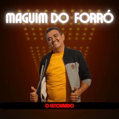 Forró do Desmantelo's cover