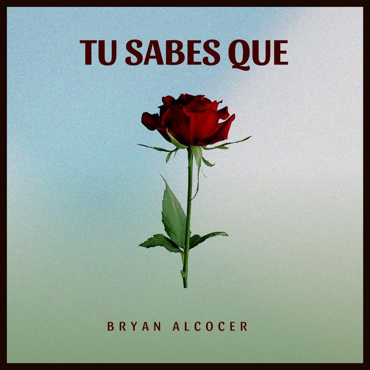 Bryan Alcocer's avatar image