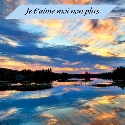 Je t'aime moi non plus By Heaven is Shining's cover