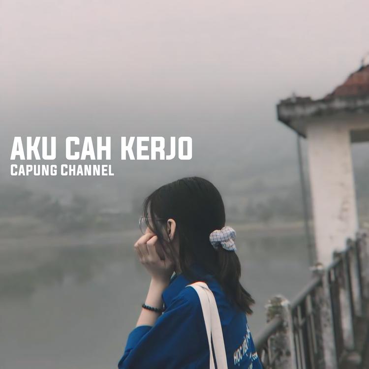 Capung Channel's avatar image