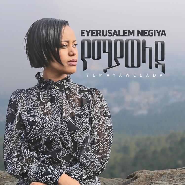 Eyerusalem Negiya's avatar image