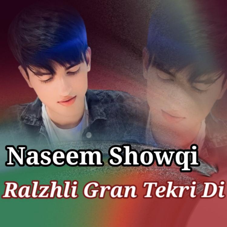 Naseem Showqi's avatar image