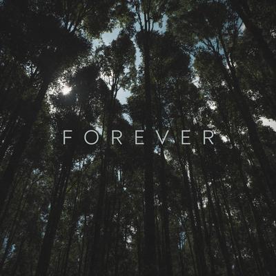 Forever's cover