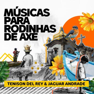 Pra Encantar Você By Tenison Del Rey, Jaguar Andrade's cover