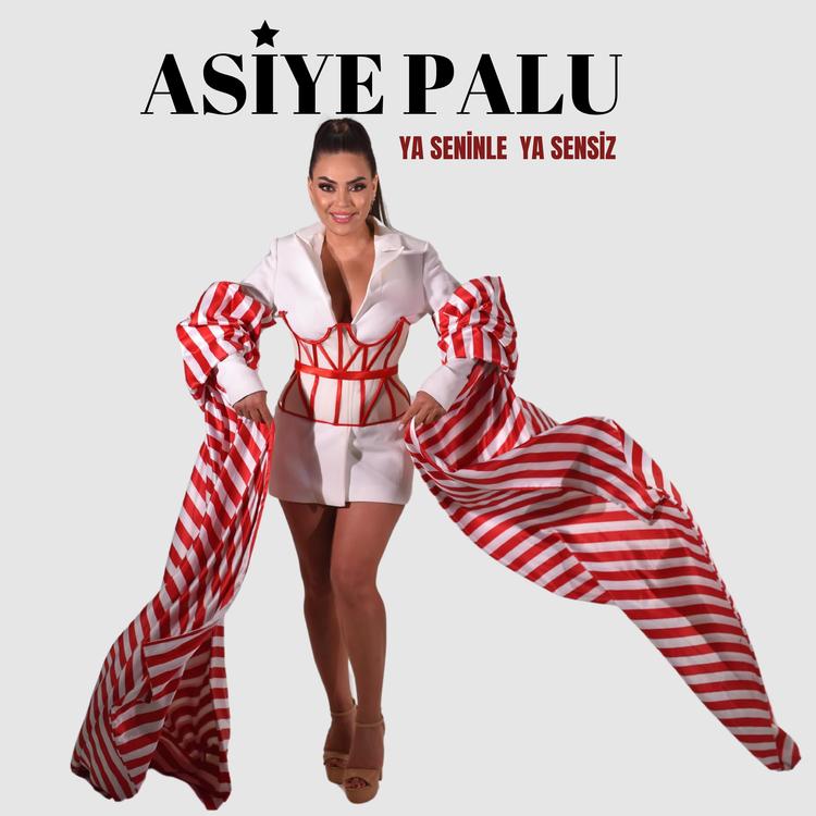 Asiye Palu's avatar image