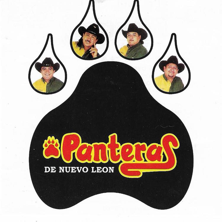 Panteras De Nuevo León's avatar image