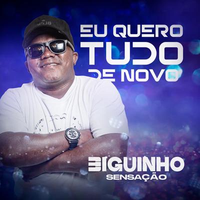 Eu Quero Tudo de Novo By BIGUINHO SENSAÇÃO's cover