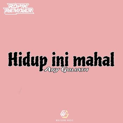 Hidup Ini Mahal  (Remix )'s cover