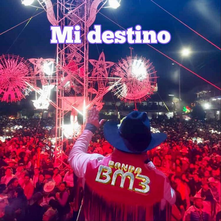 Banda BM3's avatar image