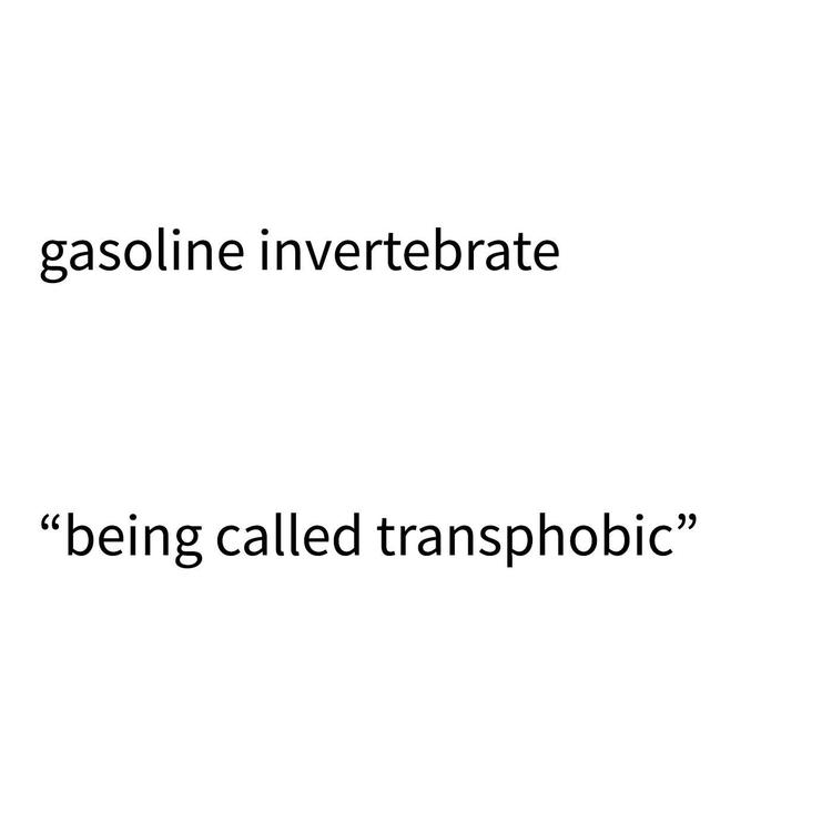 Gasoline Invertebrate's avatar image