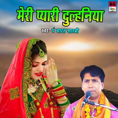 Meri Pyari Dulhaniya's cover