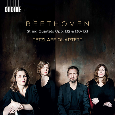 String Quartet No. 13 in B-Flat Major, Op. 130 (1825 Version): V. Cavatina. Adagio molto espressivo By Tetzlaff Quartett's cover