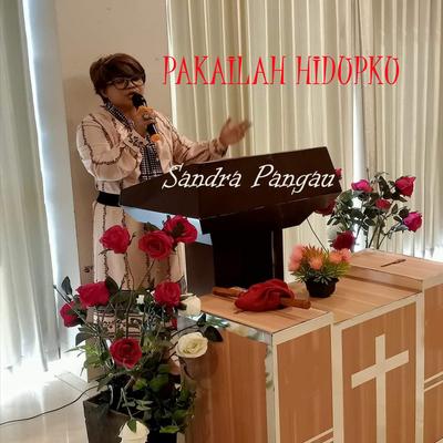 Pakailah Hidupku's cover