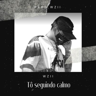 Tô Seguindo Calmo's cover