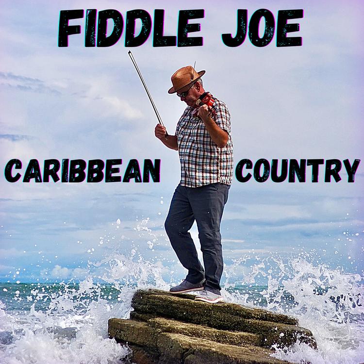 Fiddle Joe's avatar image