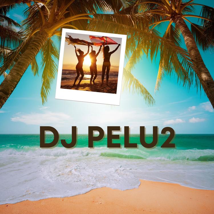 DJ Pelu2's avatar image