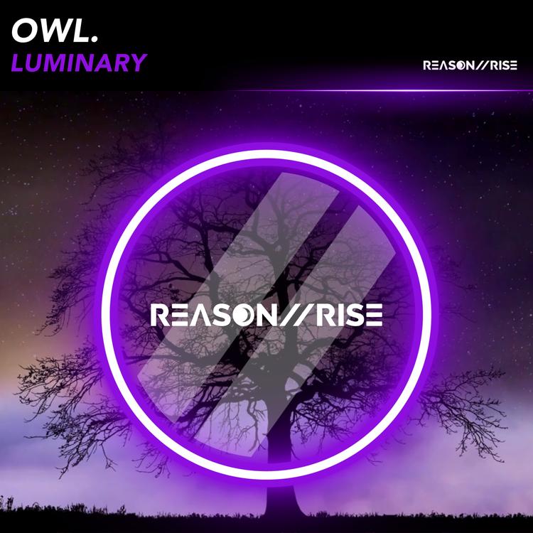 Owl's avatar image