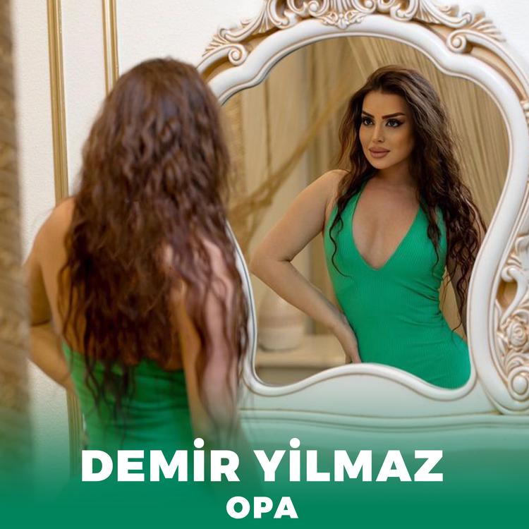 Demir Yilmaz's avatar image