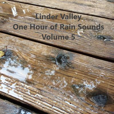 Seattle Style Weather By Linder Valley's cover