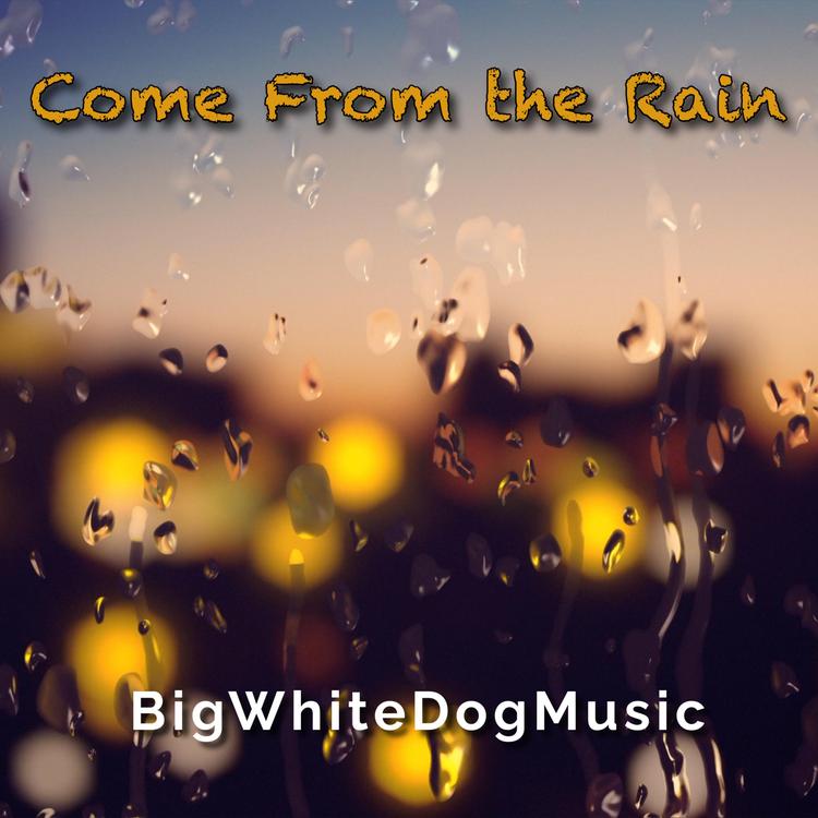 BigWhiteDogMusic's avatar image